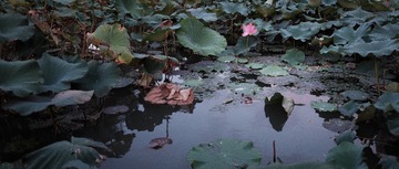 DSCF0037_OK