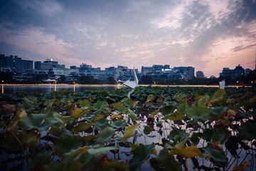 DSCF0052_OK