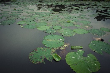 DSCF0077_OK