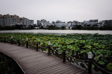 DSCF0079_OK