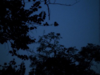 IMG_0473_P.jpg