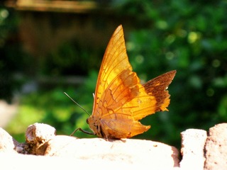 B005_A.jpg