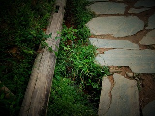 DSCF0048_P.jpg