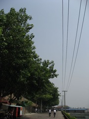 IMG_1345.JPG
