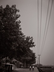 IMG_1345-1.jpg