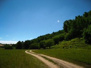 IMG_1596-1.jpg