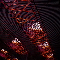 SDIM0063_Square.jpg