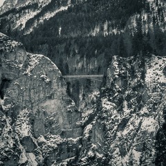 SDIM0300.jpg