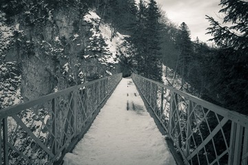 SDIM0345.jpg