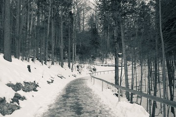 SDIM0316.jpg