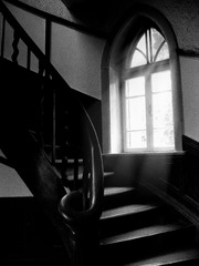 IMG_0413.jpg
