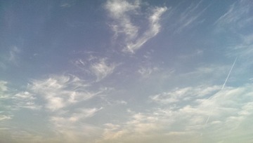 IMAG0099.jpg