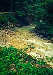 IMAG0191