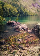 IMAG0195