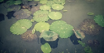 IMAG0553_1-1