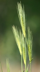 47B4AD96-67AE-46EE-8EF9-EF117FAF2148/L0/001