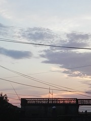 46017