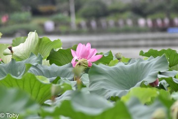 98F1C875-78F2-4D43-8A75-BAFE0282BFC4/L0/001
