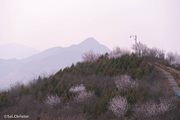 1020919