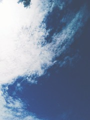 98123