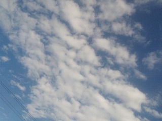 100946
