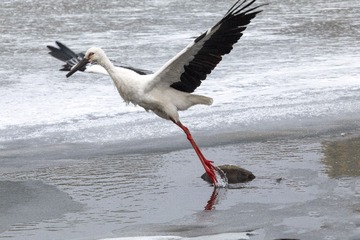 25571
