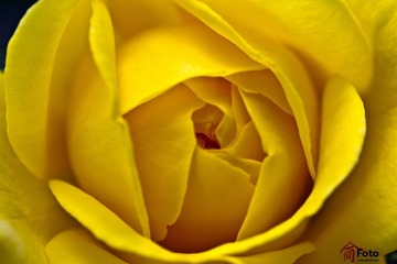 5-IMG_1417.jpg
