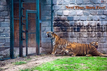IMG_2821.jpg