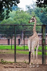 IMG_2857.jpg