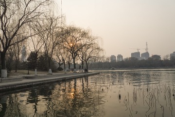 _DSC1164