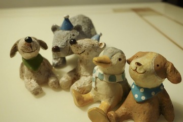 DSC00138.jpg