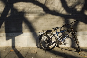 _DSC0886