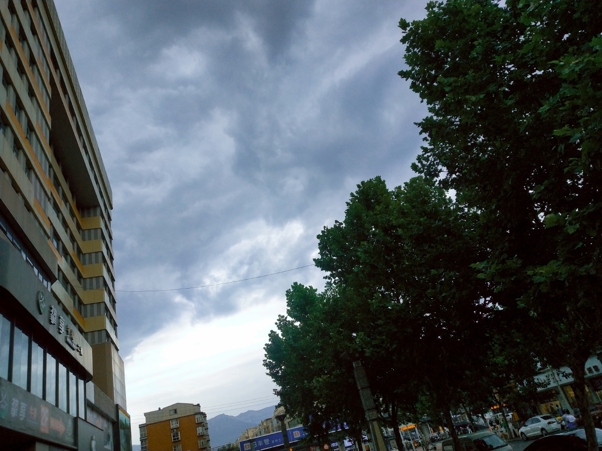 阴沉的天倒是压得人喘不过气来了