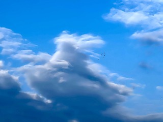 51D431B1-64CF-4E34-94EC-718A802B6180/L0/001