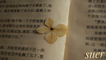 16618