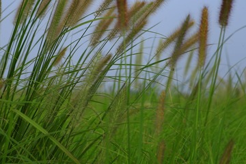 C24F2316-3E82-4F12-B4F1-D6636908B6F8/L0/001