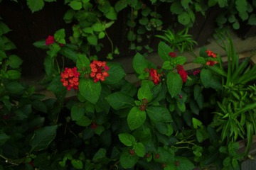 6C4CB101-E19C-4738-887A-ADDB8023B9F5/L0/001