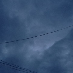 3135452