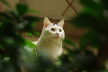 IMGP0802.JPG