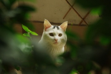 IMGP0803.JPG