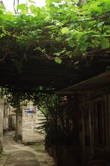 IMGP0757.JPG