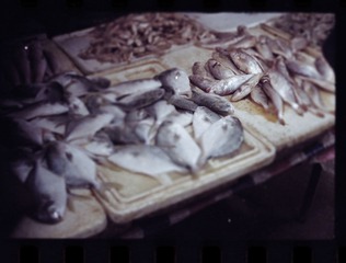 死咸鱼1副本.jpg