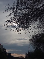 2206166