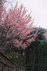 81BD4A5E-C1EE-43E2-95BA-6B4186DDEB48/L0/001
