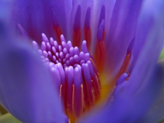 DSCN1341.jpg