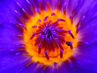 DSCN1349.JPG