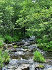 74484706-7EC4-442F-8EF8-349F888608FF/L0/001