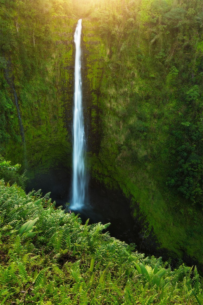 夏威夷大岛的Akaka Falls应该是夏威夷最美的瀑布之一。翠绿的山壁上犹如白绢。日落前的逆光在瀑布上方形成了温暖的光晕。