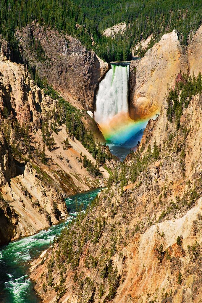 准时的彩虹<br />
Lower Falls, Yellowstone National Park。 夏季的时候如果天气不坏，每天早上9:45-10:00彩虹准时出现。在黄石的大峡谷的viewpoint都转遍了，的确还是artist point最经典