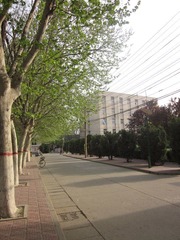IMG_0363.JPG